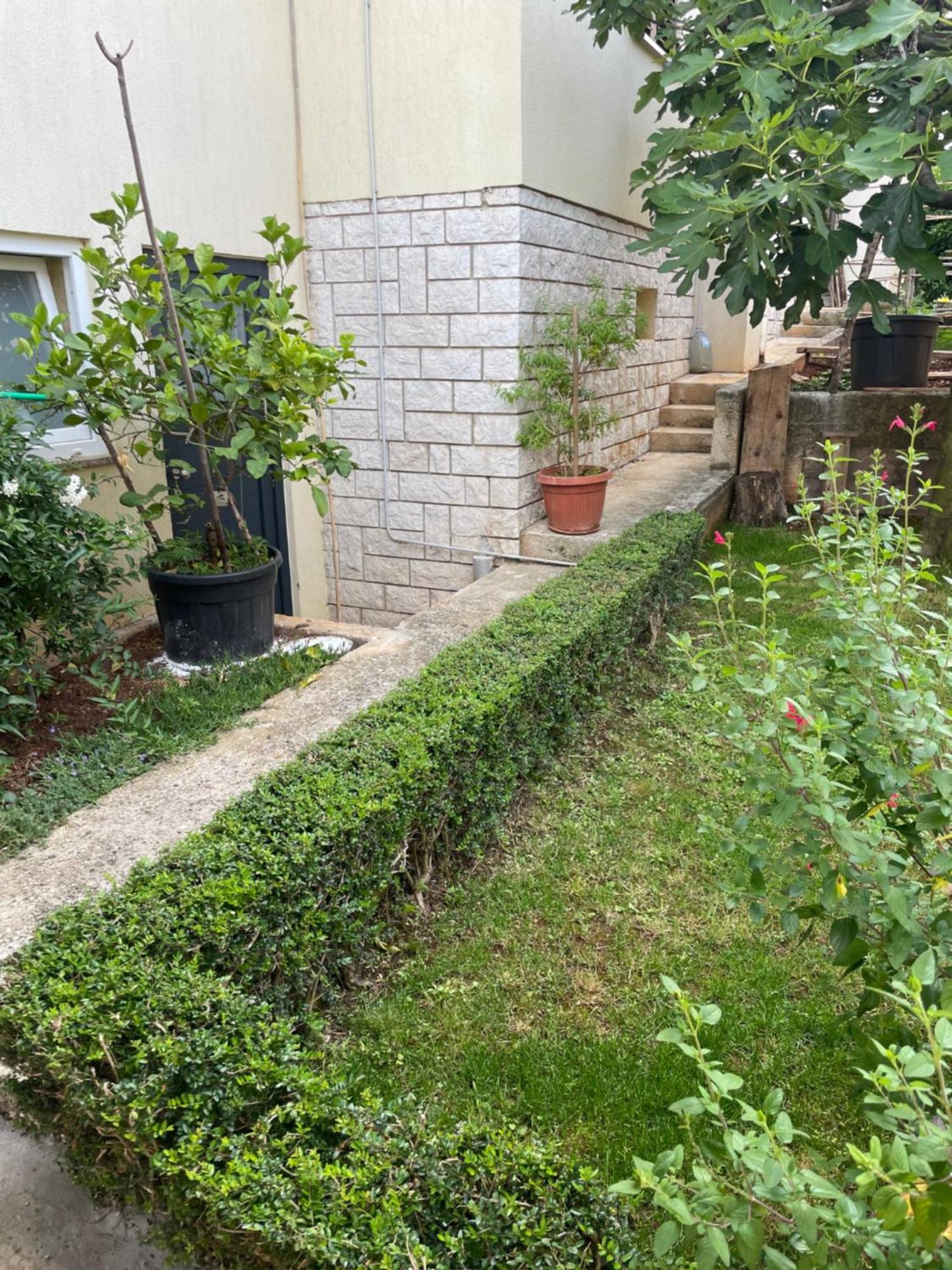 Apartmani Darko Rovinj Exterior photo